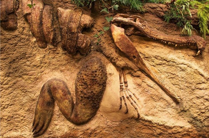 Ajmak wschodniogobijski – czyli gdzie mieszkają dinozaury